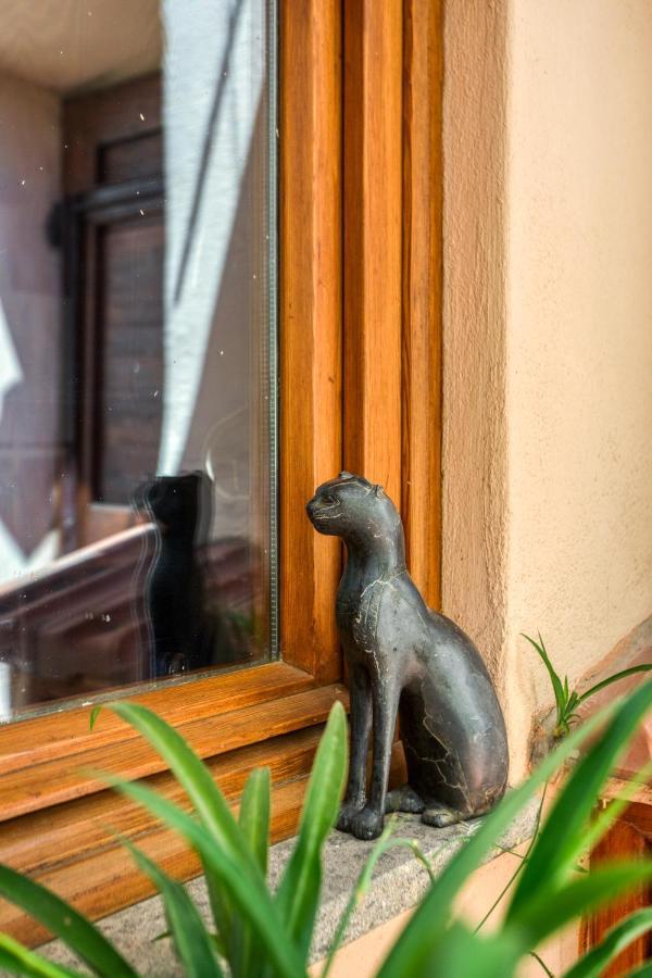 Maggiore 145 Apartment With Private Garden - Rione Monti ローマ エクステリア 写真